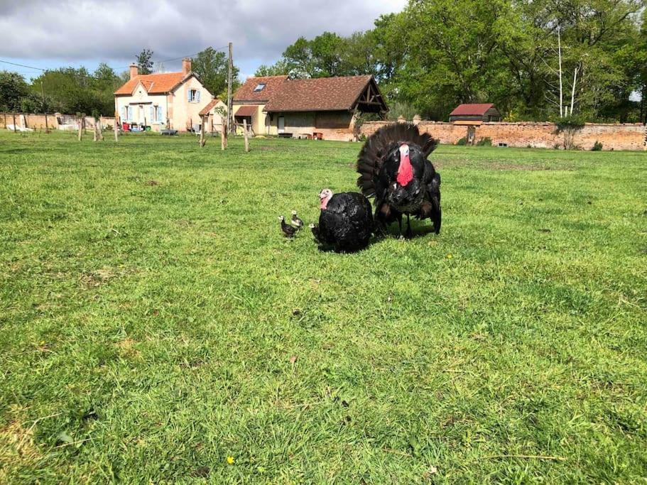 Maison Au Milieu Des Bois Et Des Animaux Jouy-le-Potier Extérieur photo