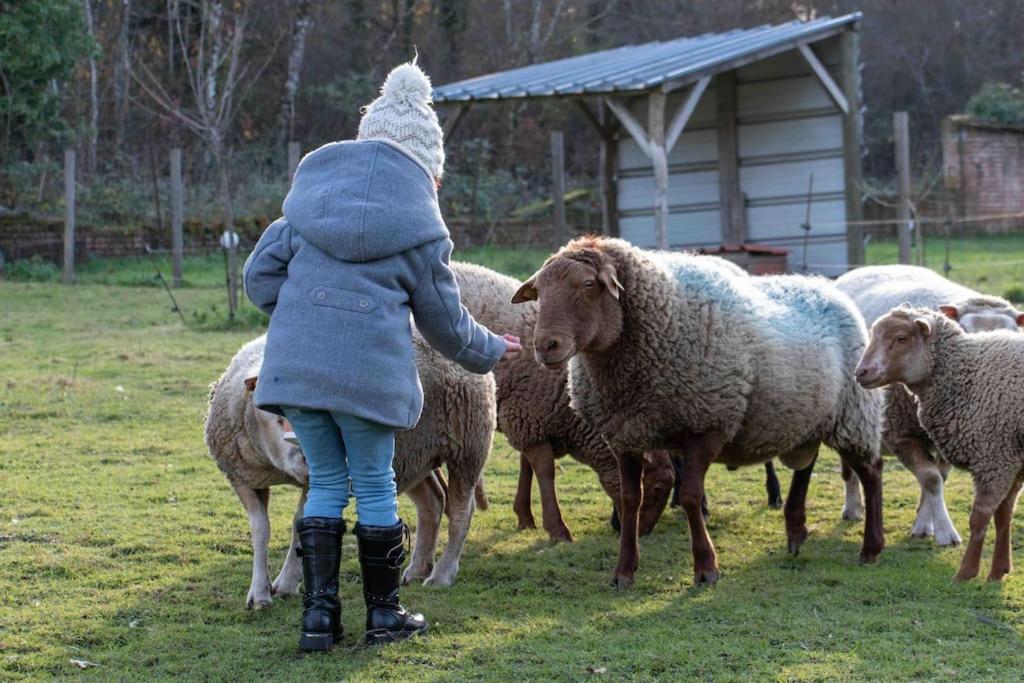 Maison Au Milieu Des Bois Et Des Animaux Jouy-le-Potier Extérieur photo