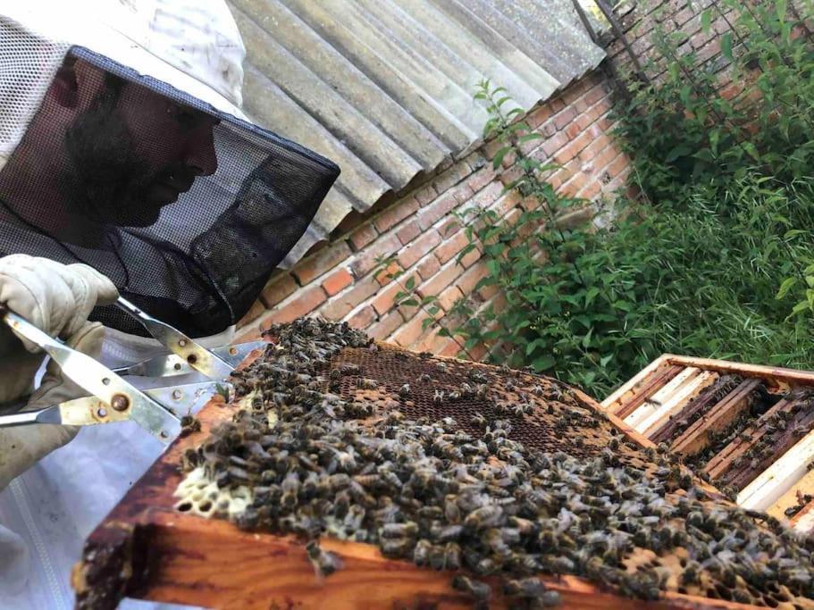 Maison Au Milieu Des Bois Et Des Animaux Jouy-le-Potier Extérieur photo